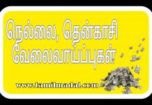 Tirunelveli, Tenkasi Requirements details pdf – 32pvt jobs for all categories