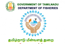 TN Fisheries Dept Recruitment 2021 @ 600, Sagar Mitra Post | Apply Online/தமிழ்நாடு மீன்வளத்துறையில் நிரந்தர வேலைவாய்ப்பு