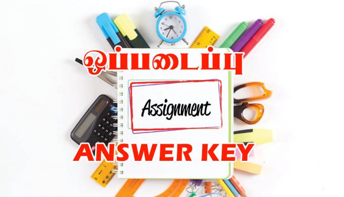 ASSIGNMENT ANSWER